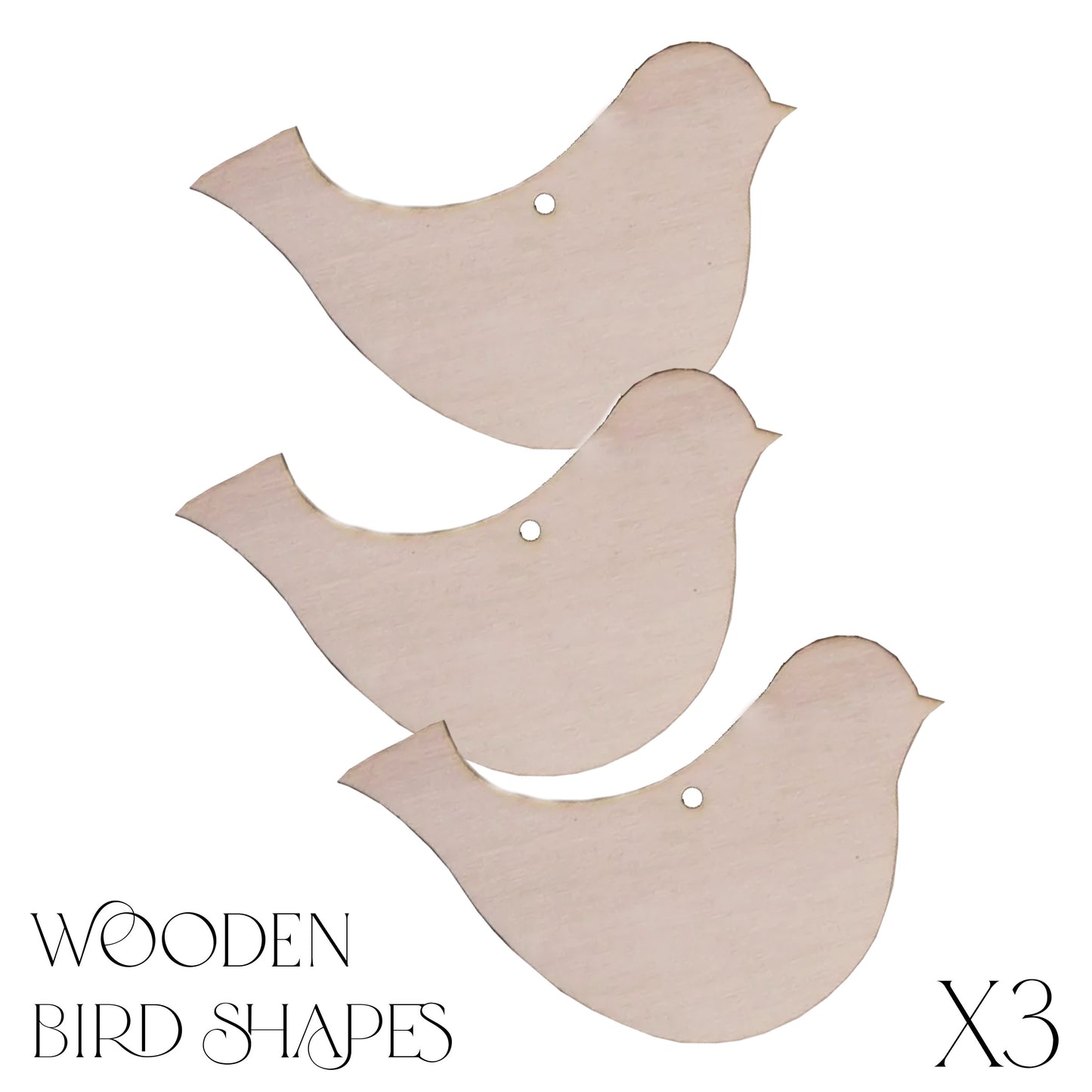 Bird Wood Blank Shapes x3