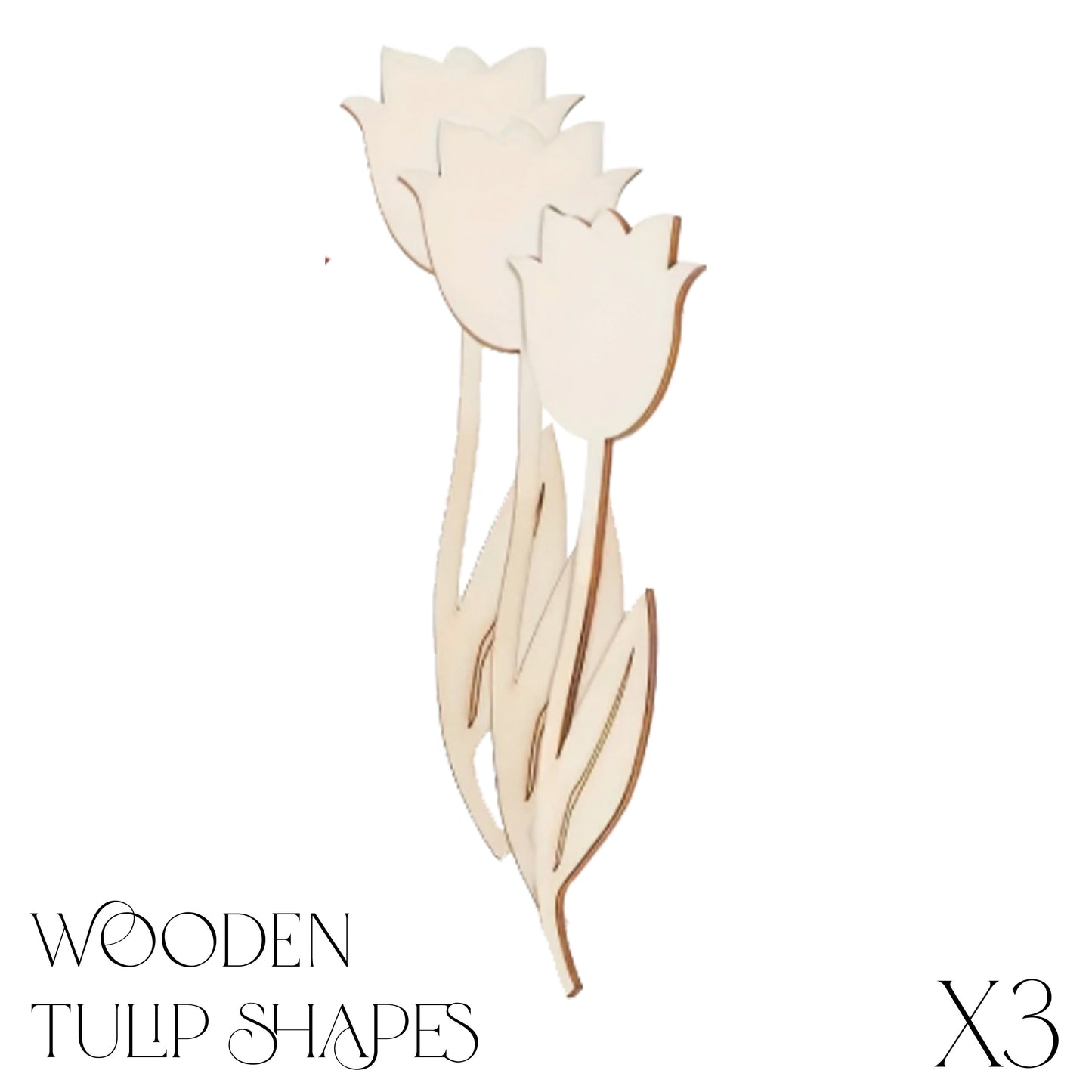 Tulip Wood Blank Shapes x3